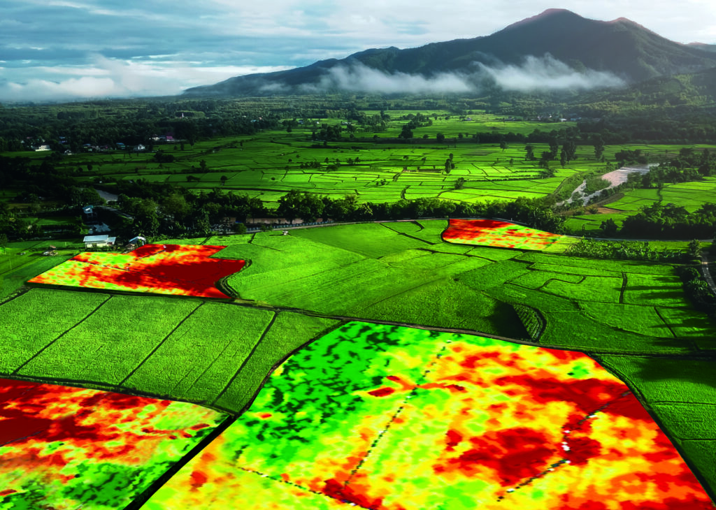Because of GRID farmers are now accessing advanced satellites to provide near-live images of fields and crop damage