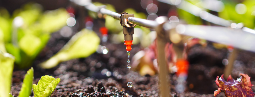 Aquapulse Water Technology polytunnel irrigation