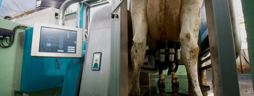 Farm technology | Agri-EPI Livestock and Dairy Solutions | Robotic Milker