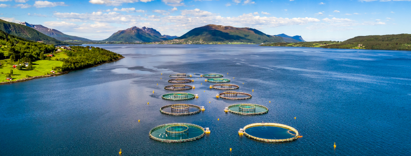 SeaCAP UK Seafood Innovation Aquaculture project | Agri-EPI News