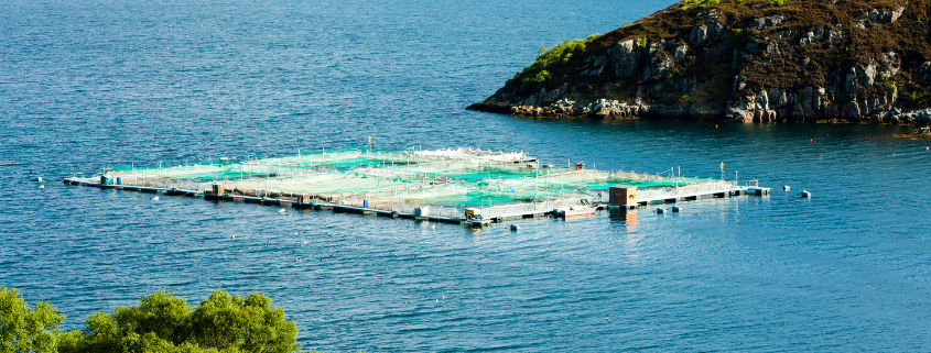 Blog Transformation of Scottish salmon production | Agri-EPI Aquaculture Solutions | SeaCAP 6000